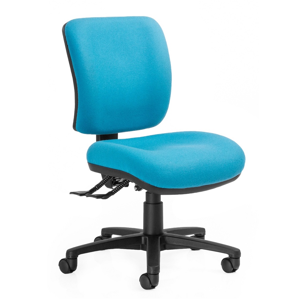 Rexa Manual Back Chair (QE) (Manual, Medium Back)