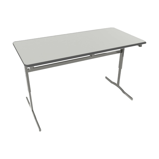 Double Adjustable Desk Performance Edge