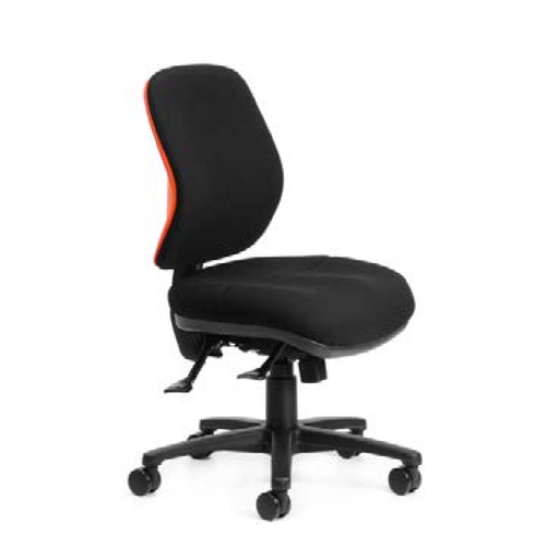 Riteline 135 Ratchet Back