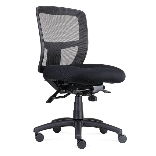 Ergo Task