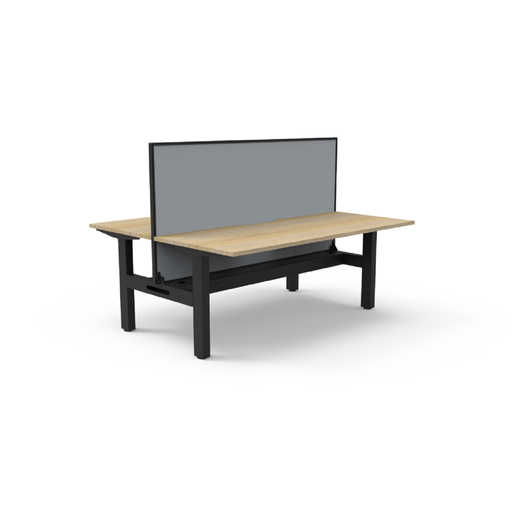 Boost Static Back to Back Workstation